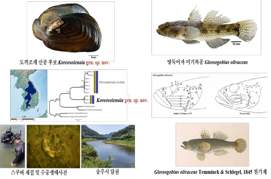 Discovery of new and unrecorded freshwater species