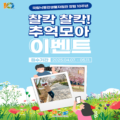 국립낙동강생물자원관 창립 10주년. 찰칵 찰칵! 추억모아 이벤트. 접수기간은 2025년4월7일 부터 5월11일 까지.