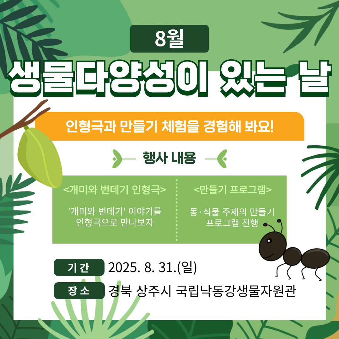 8월 생물다양성이 있는 날 인형극과 만들기 체험을 경험해 봐요! 행사 내용 : 1.<개미와 번데기 인형극> '개미와 번데기' 이야기를인형극으로 만나보자.
2.<만들기 프로그램> 동·식물 주제의 만들기 프로그램 진행. 기간은 2025. 8. 31.(일). 장소는 경북 상주시 국립낙동강생물자원관