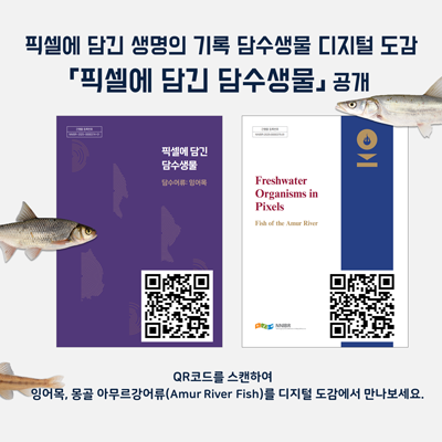 픽셀에 담긴 생명의 기록 담수생물 디지털 도감 픽셀에 담긴 담수생물 공개
qr코드를 스캔하여 잉어목,몽골 아무르강어류(Amur River Fish)를 디지털 도감에서 만나보세요.