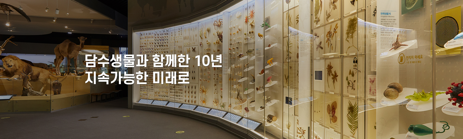 담수생물과 함께한 10년 지속가능한 미래로