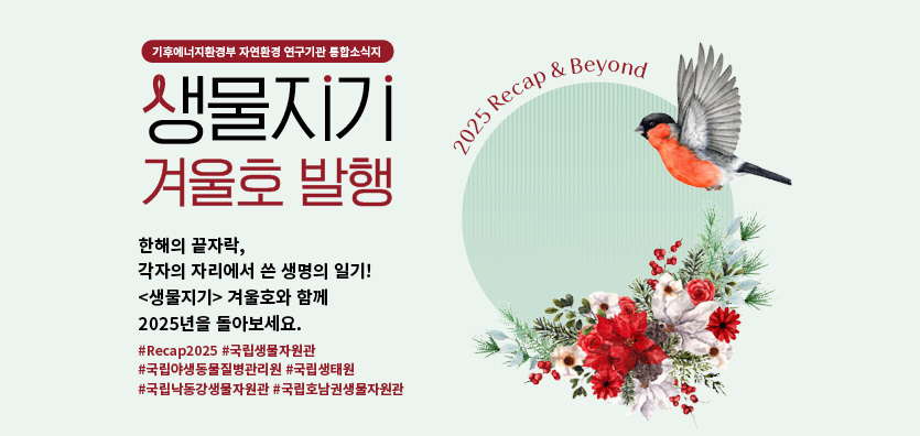 생물지기 겨울호 발행
한해의 끝자락, 각자의 자리에서 쓴 생명의 일기!
<생물지기> 겨울호와 함께 2025년을 돌아보세요.
#Recap2025 #국립생물자원관
#국립야생동물질병관리원 #국립생태원
#국립낙동강생물자원관 #국립호남권생물자원관