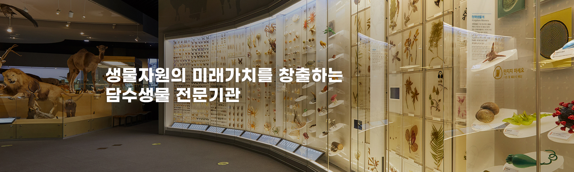 생물자원의 미래가치를 창출하는 담수생물 전문기관