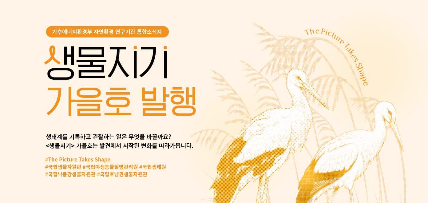 기후에너지환경부 자연환경 연구기관 통합소식지
생물지기 가을호 발행
생태계를 기록하고 관찰하는 일은 무엇을 바꿀까요?
<생물지기> 가을호는 발견에서 시작된 변화를 따라가봅니다.
#The Picture Takes Shape
#국립생물자원관 #국립야생동물질병관리원 #국립생태원
#국립낙동강생물자원관 #국립호남권생물자원관