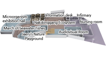 Microorganism exhibition hall, March of Seawater Fishes, Jaeru’s Nature Playground, Information desk, Nakdonggang Ecosystem, Audiovisual Room, Infirmary, Nursing room