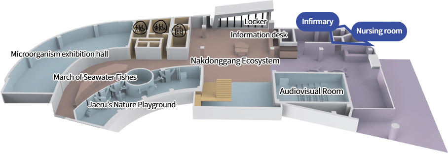 Microorganism exhibition hall, March of Seawater Fishes, Jaeru’s Nature Playground, Nakdonggang Ecosystem, Locker, Information desk, Audiovisual Room, Infirmary, Nursing room
