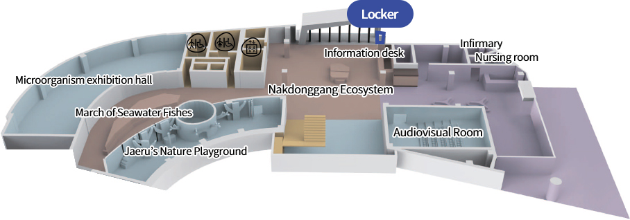 Microorganism exhibition hall, March of Seawater Fishes, Jaeru’s Nature Playground, Nakdonggang Ecosystem, Locker, Information desk, Audiovisual Room, Infirmary, Nursing room