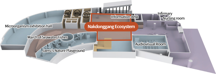 Microorganism exhibition hall, March of Seawater Fishes, Jaeru’s Nature Playground, Nakdonggang Ecosystem, Information desk, Audiovisual Room, Infirmary, Nursing room