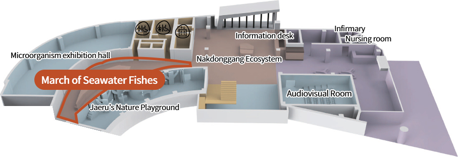 Microorganism exhibition hall, March of Seawater Fishes, Jaeru’s Nature Playground, Nakdonggang Ecosystem, Information desk, Audiovisual Room, Infirmary, Nursing room