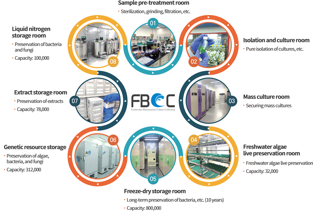 
	1. Sample pre-treatment room - Sterilization, grinding, filtration, etc.
	2. Isolation and culture room - Pure isolation of cultures, etc.
	3. Mass culture room - Securing mass cultures
	4. Freshwater algae live preservation room - Freshwater algae live preservation, Capacity: 32,000
	5. Freeze-dry storage room - Long-term preservation of bacteria, etc. (10 years), Capacity: 800,000
	6. Genetic resource storage - Preservation of algae, bacteria, and fungi, Capacity: 312,000
	7. Extract storage room - Preservation of extracts, Capacity: 78,000
	8. Liquid nitrogen storage room - Preservation of bacteria and fungi, Capacity: 100,000