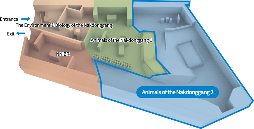 The Environment & Biology of the Nakdonggang, NNIBR, Animals of the Nakdonggang 1, Animals of the Nakdonggang 2, Entrance, Exit