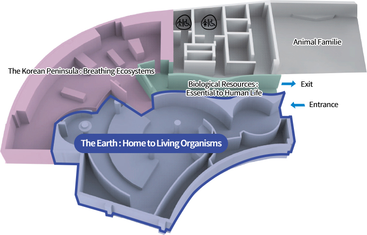 The Earth : Home to Living Organisms, The Korean Peninsula : Breathing Ecosystems, Biological Resources : Essential to Human Life, Animal Familie, Exit, Entrance