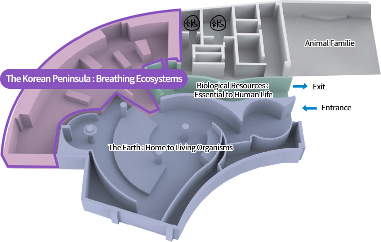 The Earth : Home to Living Organisms, The Korean Peninsula : Breathing Ecosystems, Biological Resources : Essential to Human Life, Animal Familie, Exit, Entrance