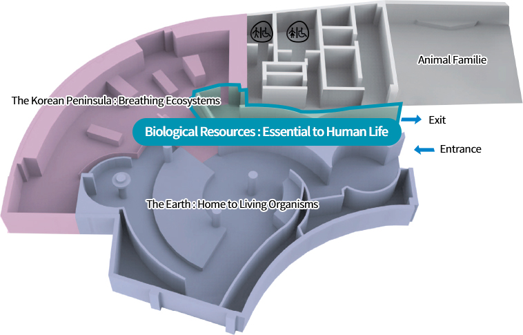 The Earth : Home to Living Organisms, The Korean Peninsula : Breathing Ecosystems, Biological Resources : Essential to Human Life, Animal Familie, Exit, Entrance