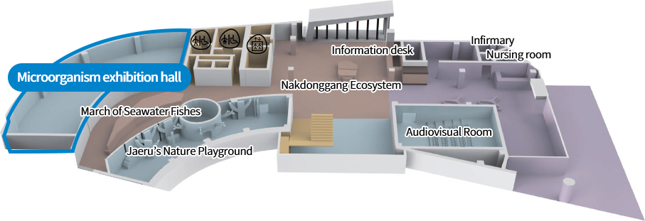 Microorganism exhibition hall, March of Seawater Fishes, Jaeru’s Nature Playground, Nakdonggang Ecosystem, Information desk, Audiovisual Room, Infirmary, Nursing room
