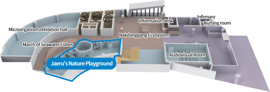 Microorganism exhibition hall, March of Seawater Fishes, Jaeru’s Nature Playground, Lifeline of the Ecosystem, Nakdonggang Ecosystem, Information desk, Audiovisual Room, Infirmary, Nursing room