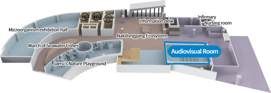 Microorganism exhibition hall, March of Seawater Fishes, Jaeru’s Nature Playground, Lifeline of the Ecosystem, Nakdonggang Ecosystem, Information desk, Audiovisual Room, Infirmary, Nursing room