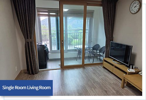 Single Room Living Room