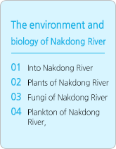 낙동강의 환경과 생물