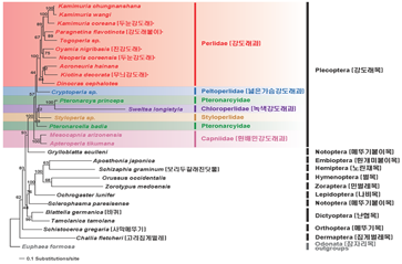 gene-based genealogy