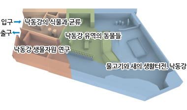 낙동강의 식물과 균류, 낙동강 유역의 동물들, 낙동강 생물자원 연구, 물고기와 새의 생활터전, 낙동강, 입구, 출구