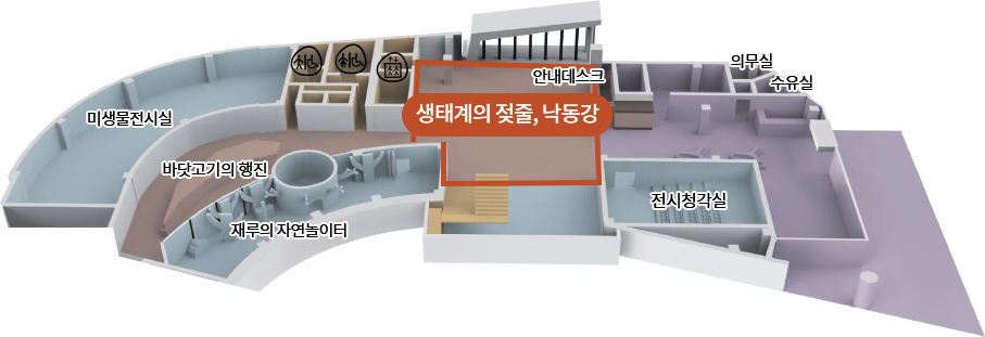 미생물전시실, 바닷고기의 행진, 재루의 자연놀이터, 생태계의 젖줄, 낙동강, 안내데스크, 전시청각실, 의무실, 수유실
