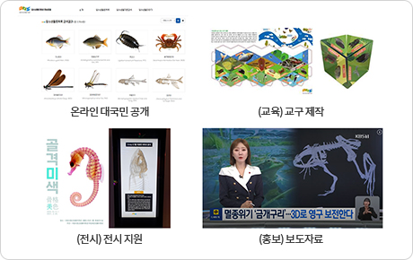 온라인 대국민 공개, (교육) 교구 제작, (전시) 전시 지원, (홍보) 보도자료