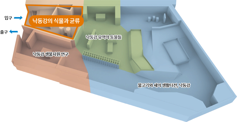 낙동강의 식물과 균류, 낙동강 생물자원 연구, 낙동강 유역의 동물들, 물고기와 새의 생활터전, 낙동강, 입구, 출구