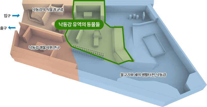 낙동강의 식물과 균류, 낙동강 생물자원 연구, 낙동강 유역의 동물들, 물고기와 새의 생활터전, 낙동강, 입구, 출구