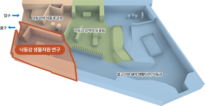 낙동강의 식물과 균류, 낙동강 생물자원 연구, 낙동강 유역의 동물들, 물고기와 새의 생활터전, 낙동강, 입구, 출구