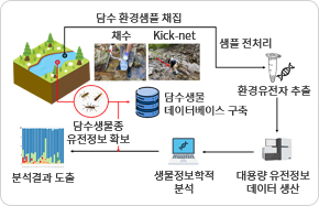 환경유전자를 이용한 담수 생물다양성 분석 흐름도