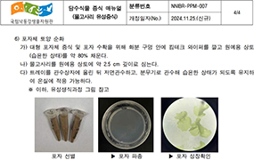 물고사리 인공증식 매뉴얼 사진