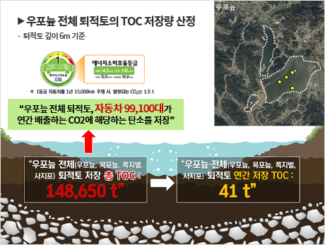 우포늪 전체 퇴적토의 TOC 저장량 산정