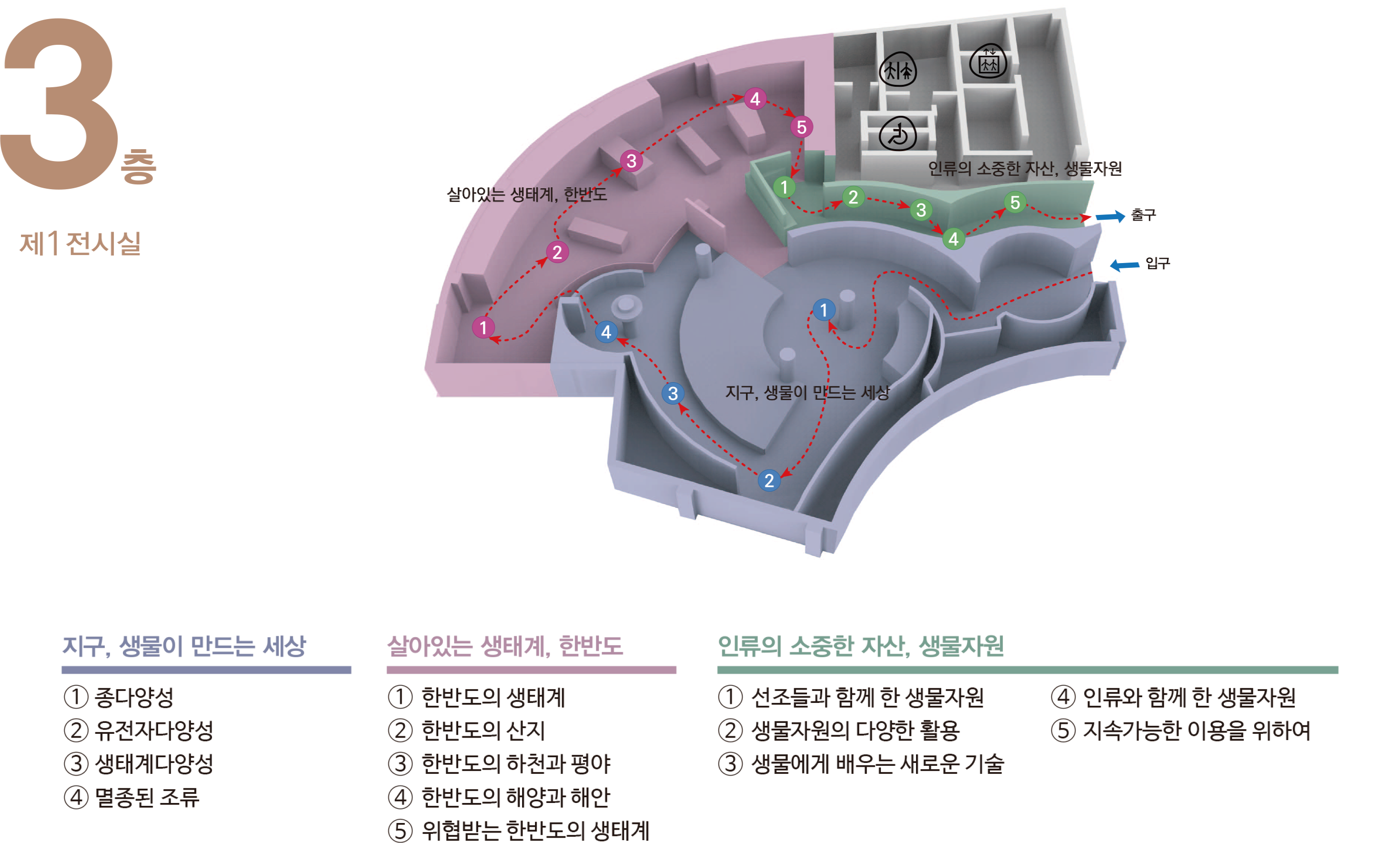 3층 제1전시실 입,출구 위치 및 지구,생물이 만드는 세상 전시실, 살아있는 생태계, 한반도 전시실, 인류의 소중한 자산, 생물자원 전시실의 위치를 표시하고 있음. 생명의 소중함과 생물다양성. 지구, 생물이 만드는 세상: 종다양성, 유전자다양성, 생태계다양성, 생물다양성 보전중요지점. 살아있는 생태계, 한반도: 한반도의 생태계, 한반도의 산지, 한반도의 하천과 평야, 한반도의 해양과 해안, 위협받는 한반도의 생태계. 인류의 소중한 자산, 생물자원: 선조들과 함께 한 생물자원, 생물을 활용한 생활 속 제품, 생물에게 배우는 새로운 기술, 인류와 함께한 생물자원, 지속가능한 이용을 위하여