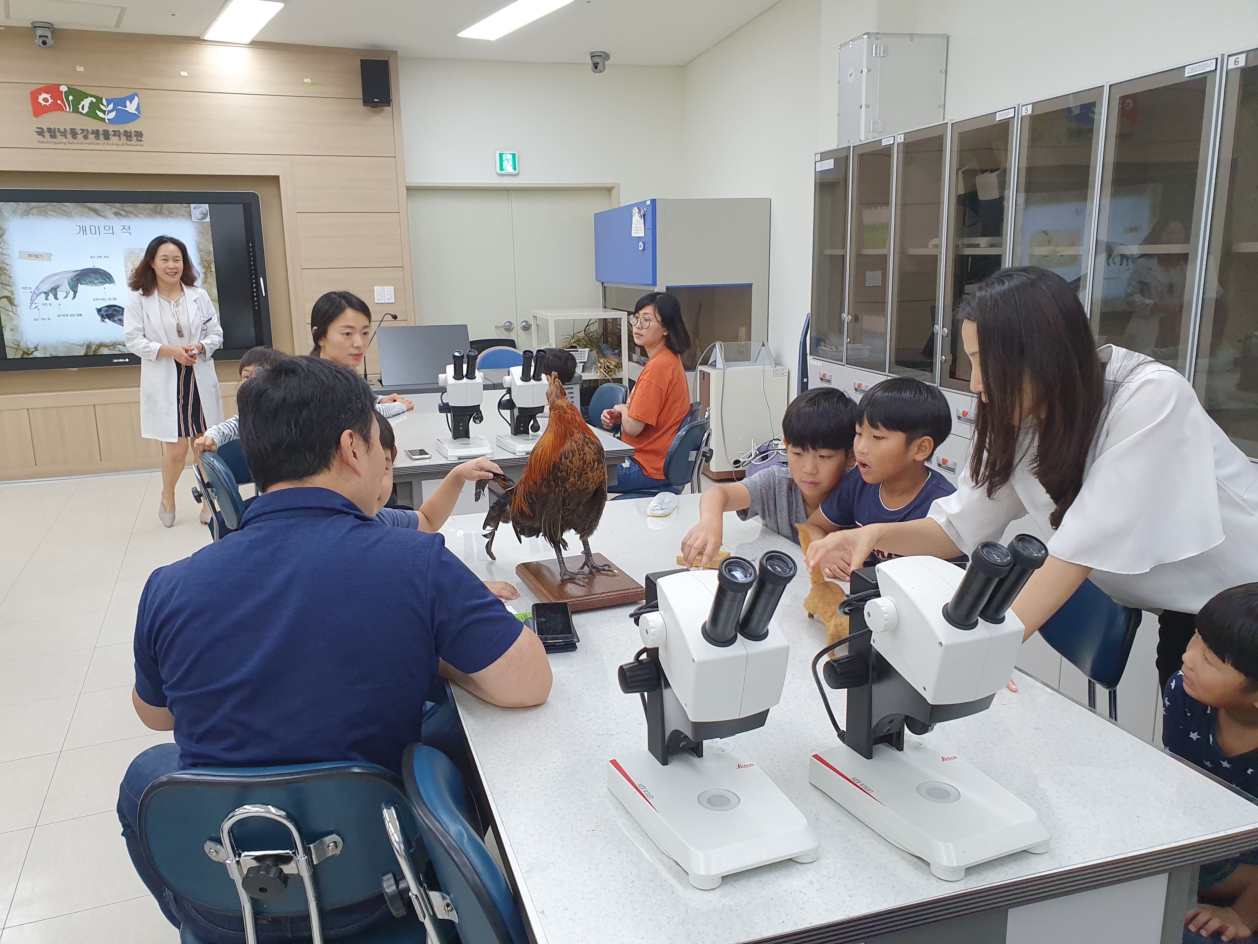 교육사진첩 상세보기 | 국립낙동강생물자원관 생물자원주말가족교실_개미탐험대!