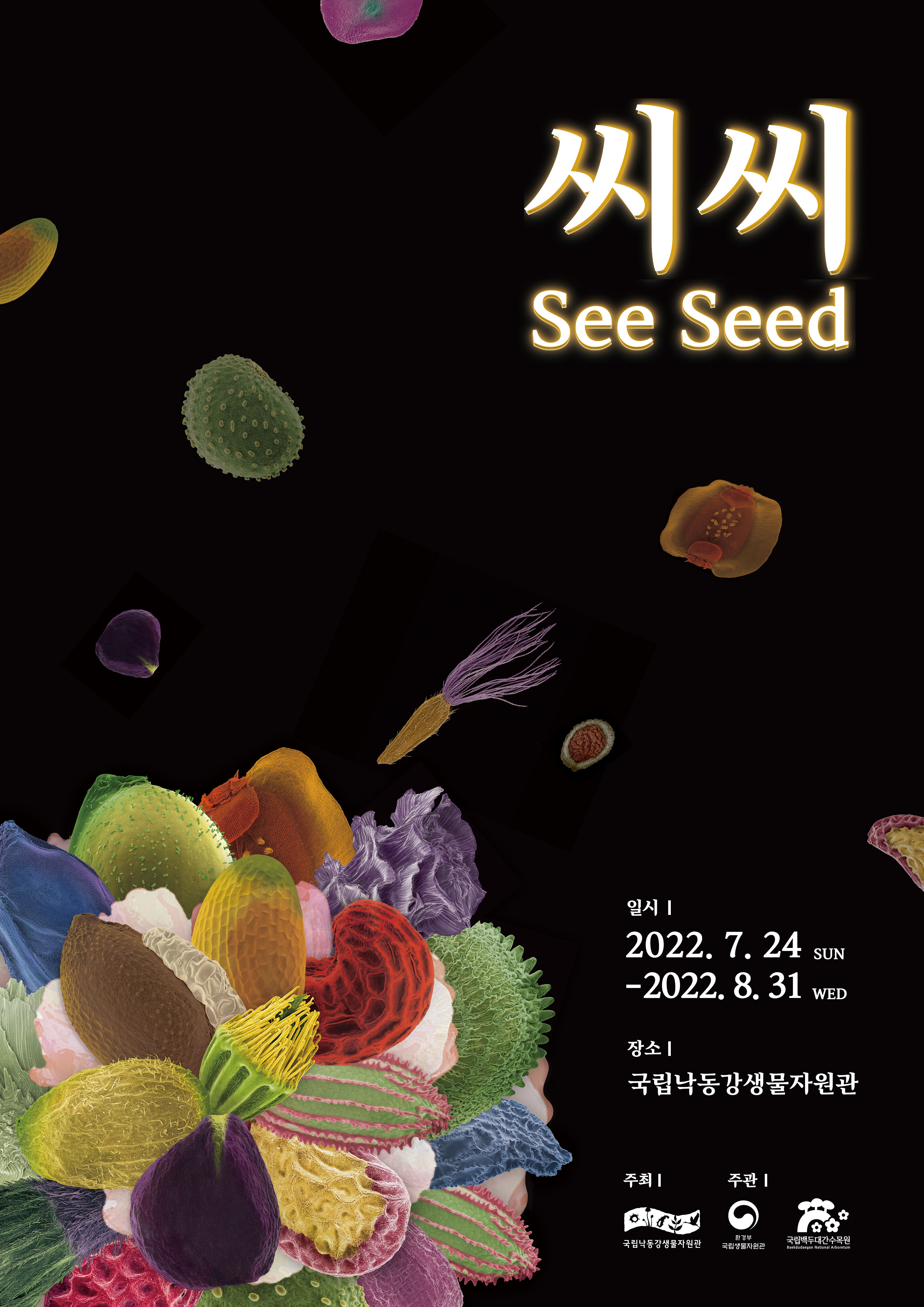 씨씨(See Seed)
