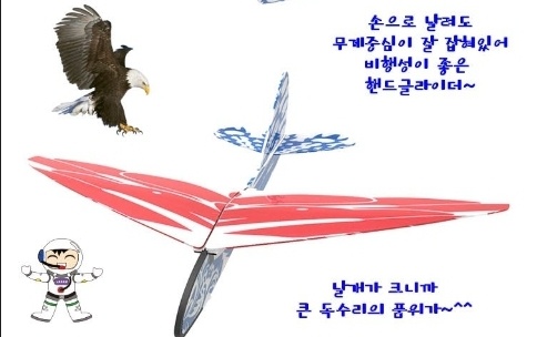 맹금류 비행기 만들기