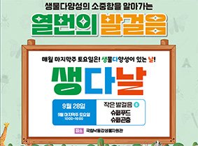 생다날 슈퍼푸드