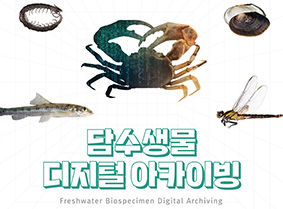담수생물 디지털 아카이빙