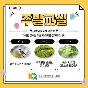 주말교실