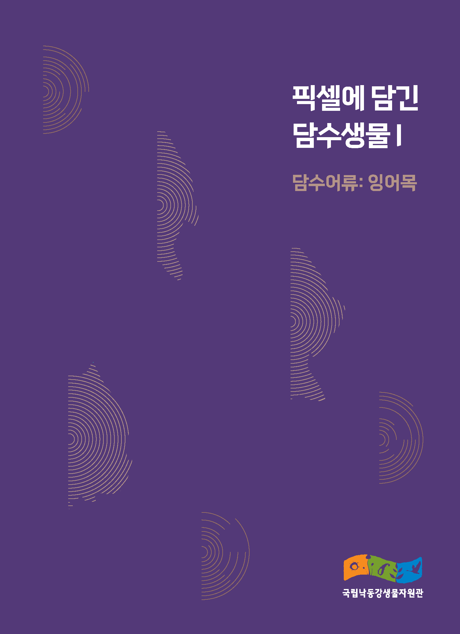 픽셀에 담긴 담수생물 | 담수어류 잉어목