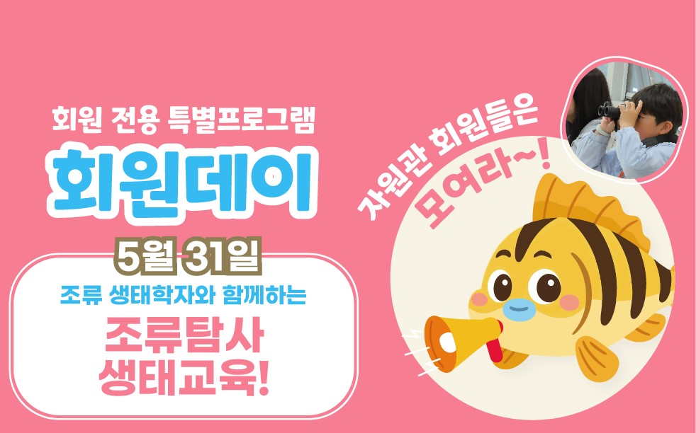 배너