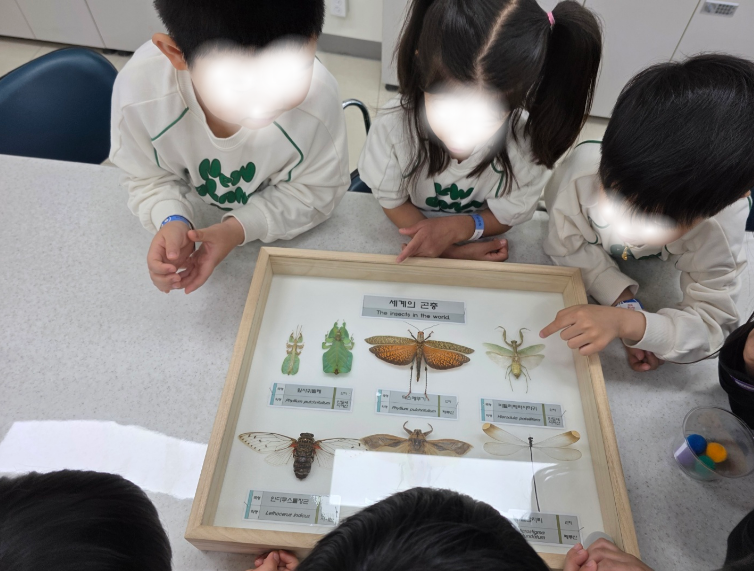 2026년 생태계 심포니