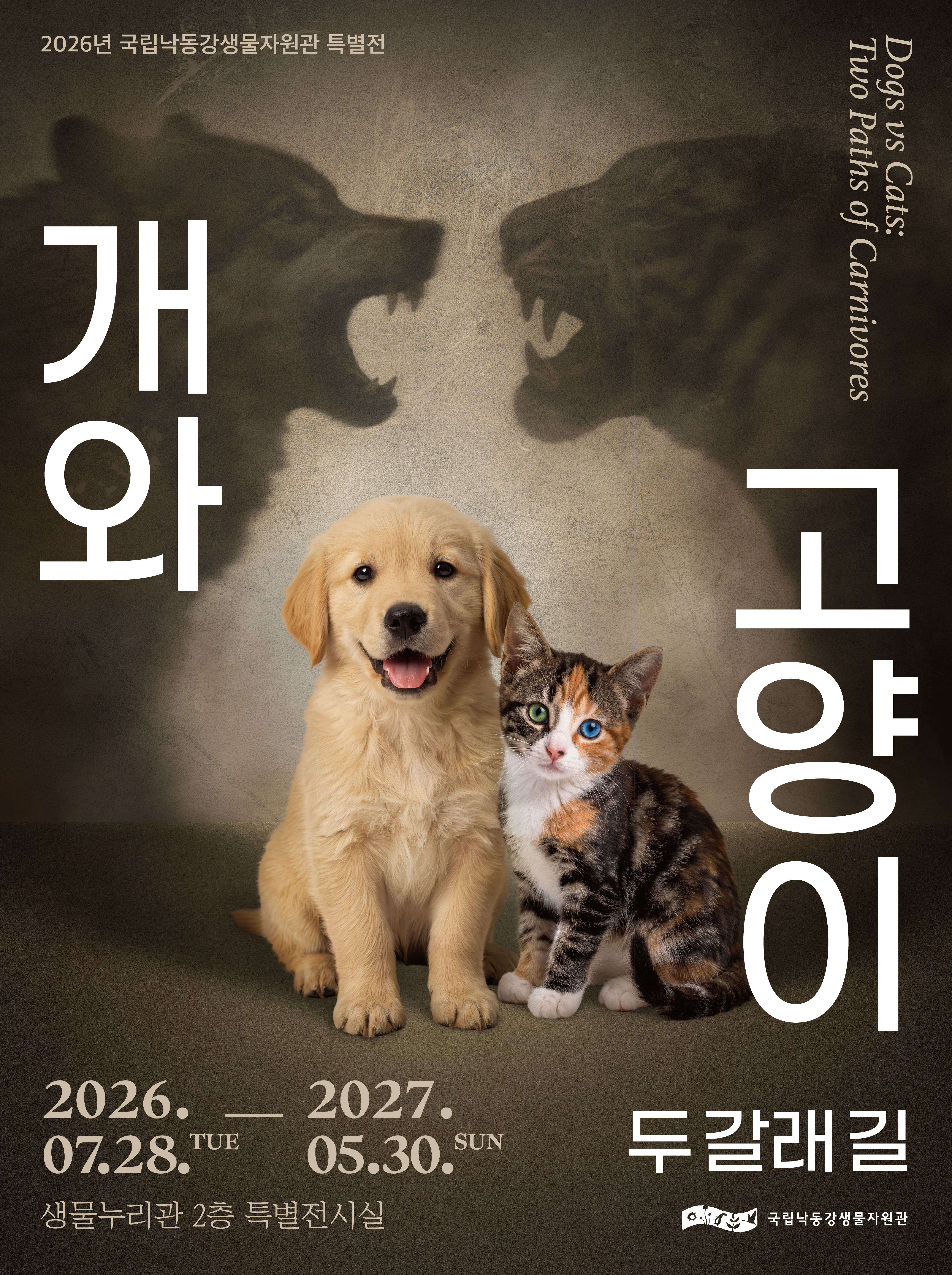 개와 고양이: 두 갈래 길