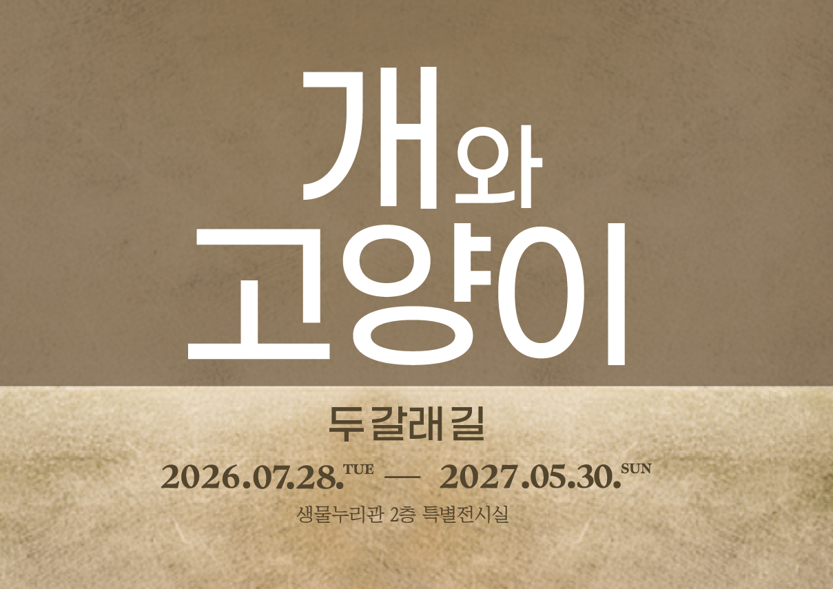 전시알림배너