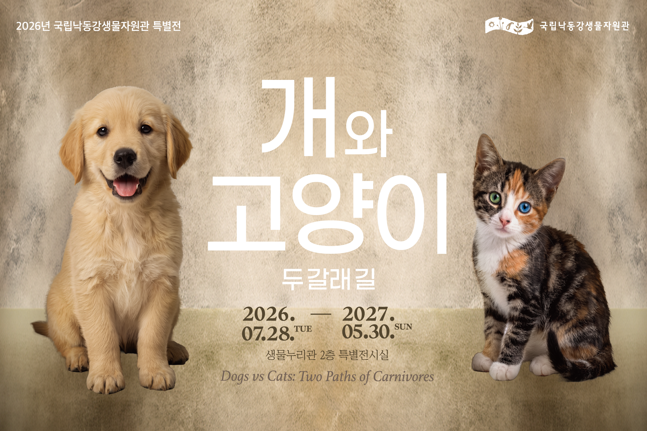 개와고양이