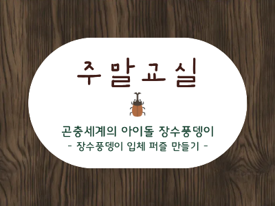 3-곤충세계의 아이돌 장수풍뎅이